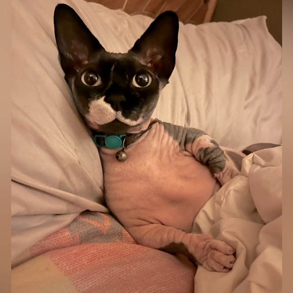 Meet your Posher, Brooke - Picture 1 of 1